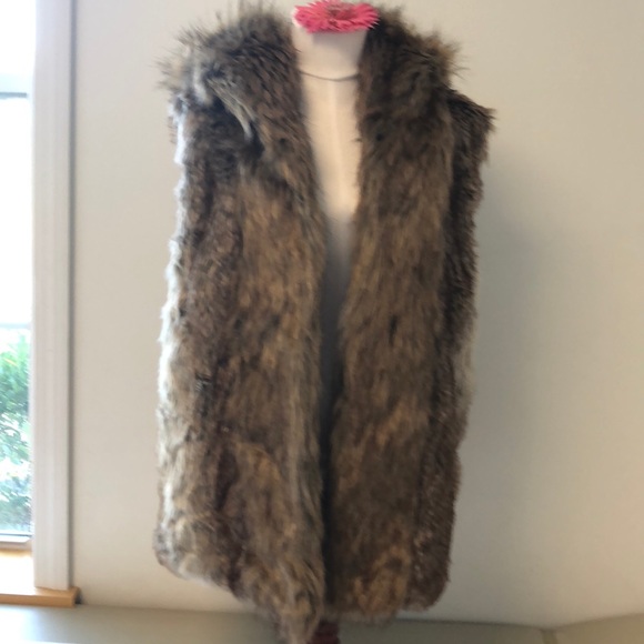 Lanshifei Jackets & Blazers - Lanshifei (more of a XL fit) hooded faux fur vest